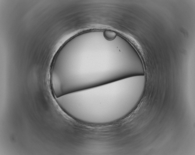 X0000113861287200909241018