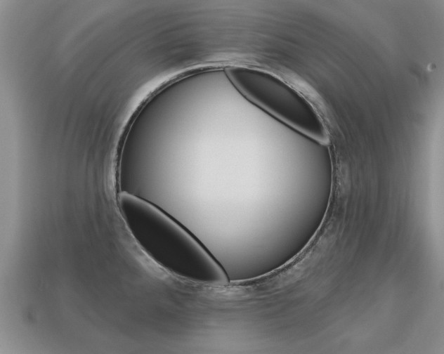 X0000113861288200909241018