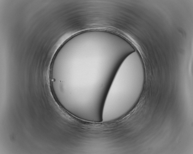 X0000113861291200909241018