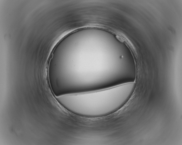 X0000113861292200909241018