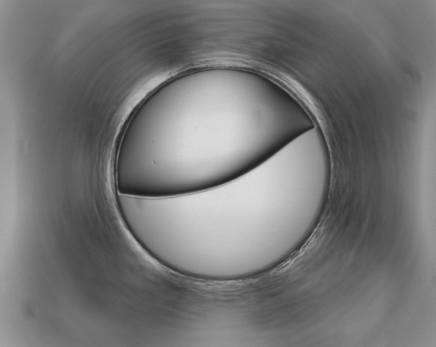 X0000113861293200909241018