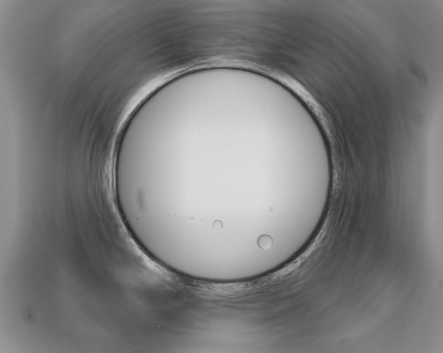 X0000113861294200909241018