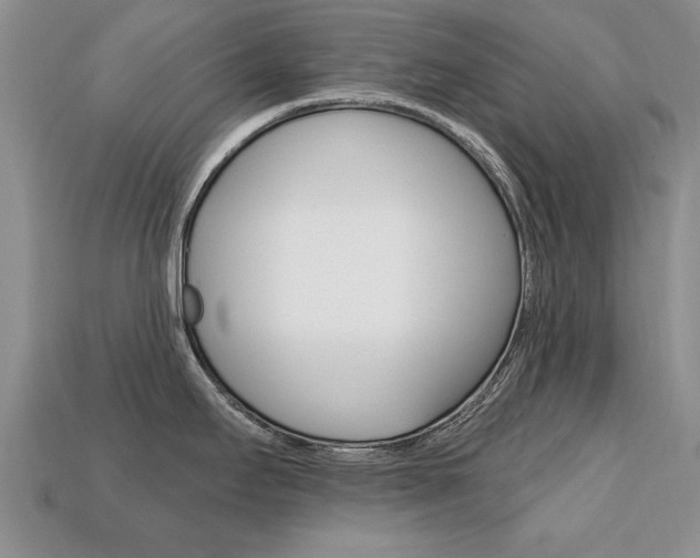 X0000113861295200909241018