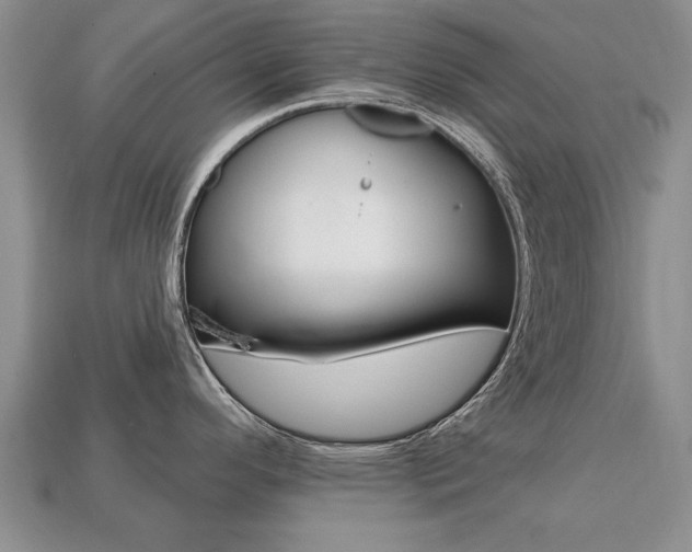 X0000113861296200909241018
