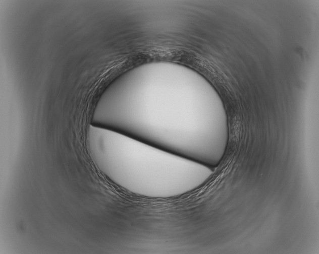 X0000113861297200909241017