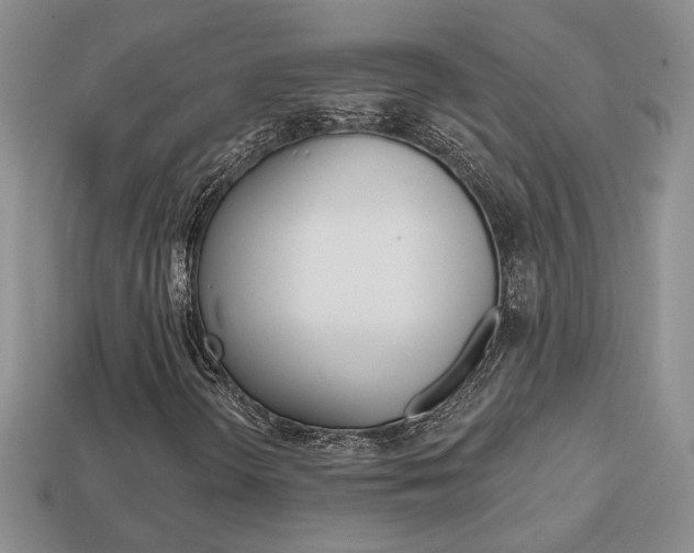 X0000113861298200909241017