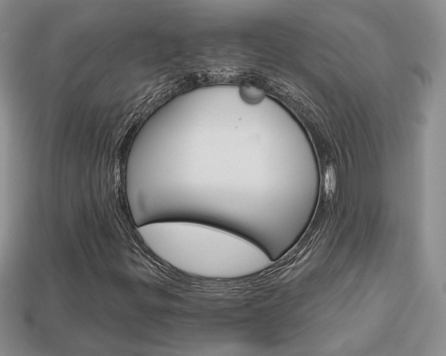 X0000113861299200909241017
