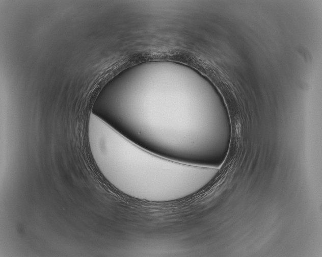X0000113861300200909241017