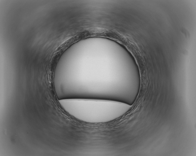 X0000113861301200909241017