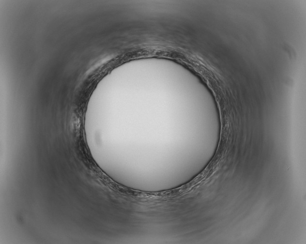 X0000113861302200909241017