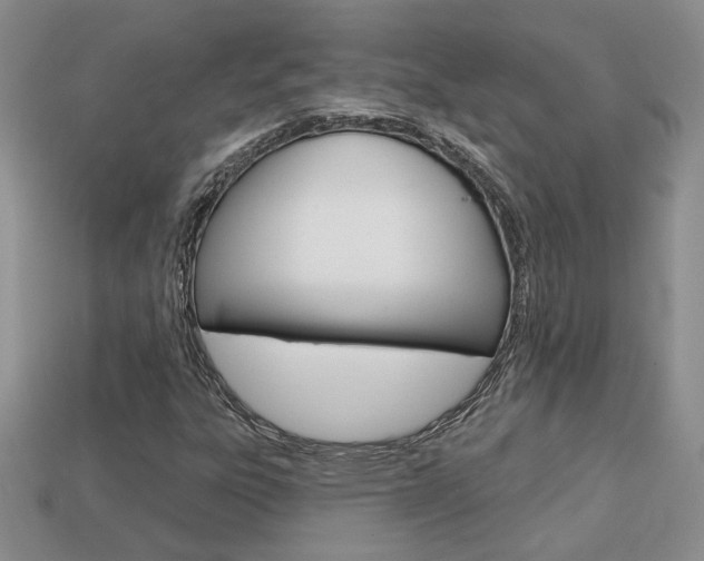 X0000113861303200909241017