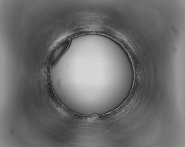 X0000113861304200909241017