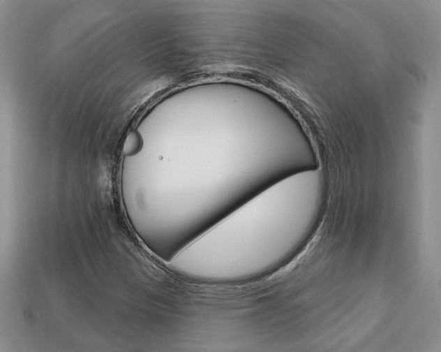 X0000113861305200909241017