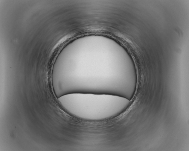 X0000113861306200909241017
