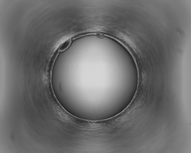 X0000113861308200909241017