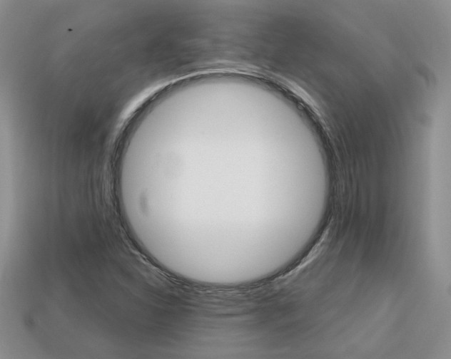 X0000113861310200909241017