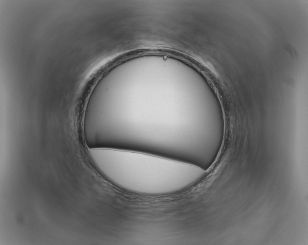 X0000113861311200909241017