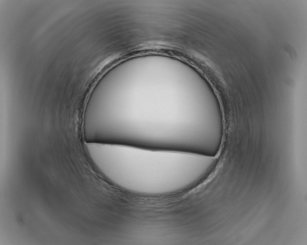 X0000113861313200909241017