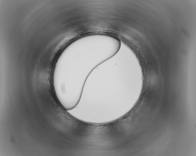 X0000113861314200909241017
