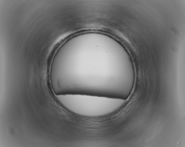 X0000113861315200909241017