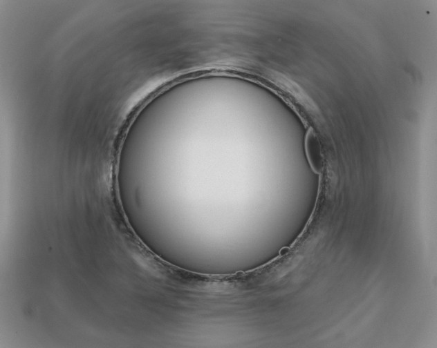 X0000113861316200909241017