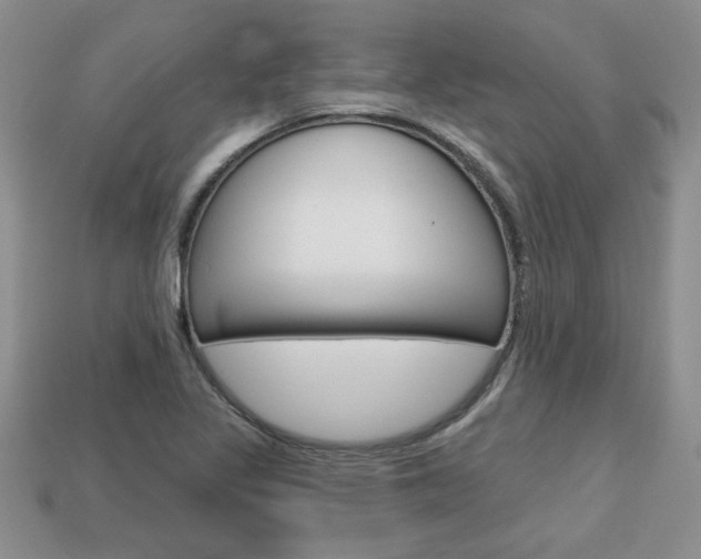 X0000113861317200909241017