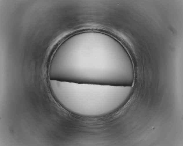 X0000113861318200909241017