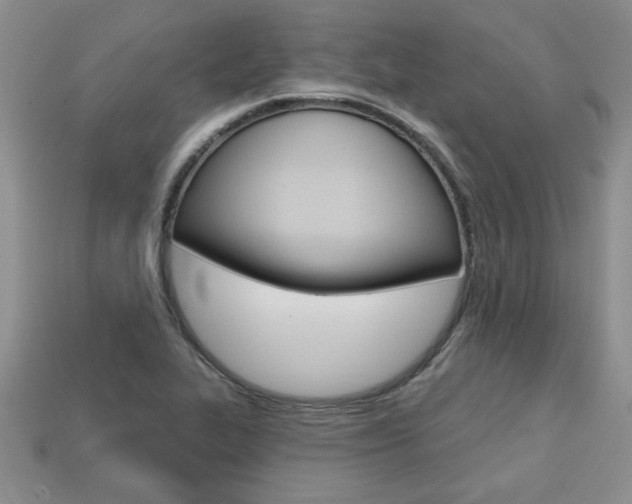 X0000113861319200909241017