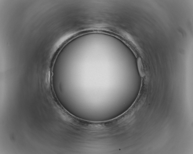 X0000113861320200909241017