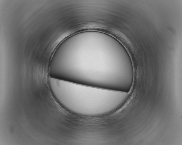X0000113861321200909241017