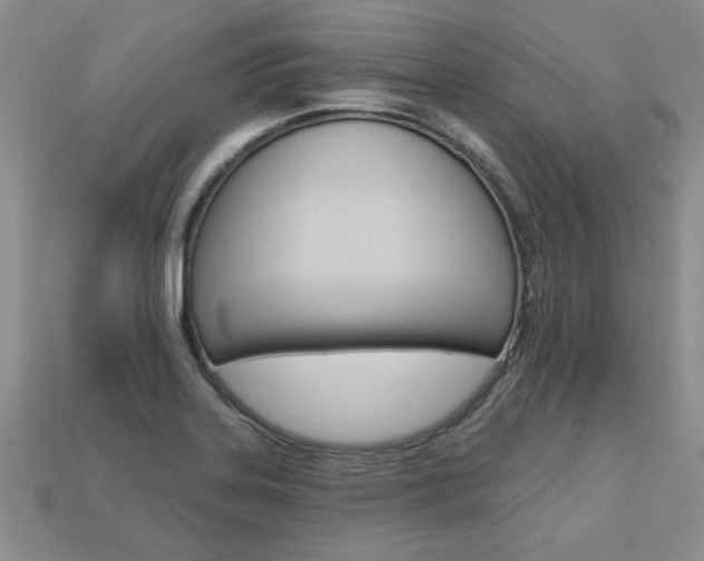 X0000113861323200909241018