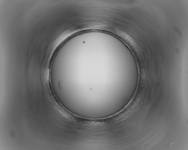 X0000113861324200909241018