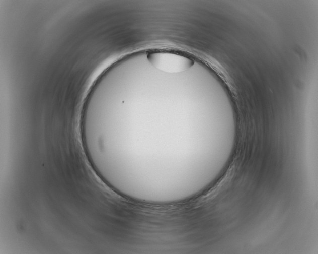 X0000113861326200909241018