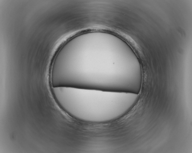 X0000113861327200909241018