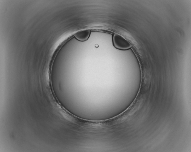 X0000113861328200909241018