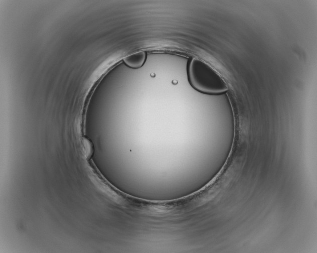 X0000113861330200909241018