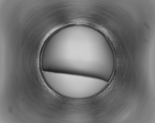 X0000113861331200909241018