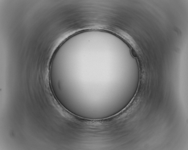 X0000113861332200909241018
