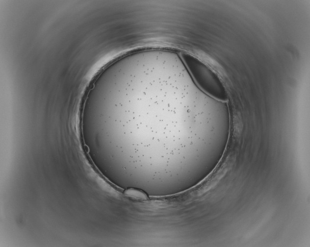 X0000113861334200909241018