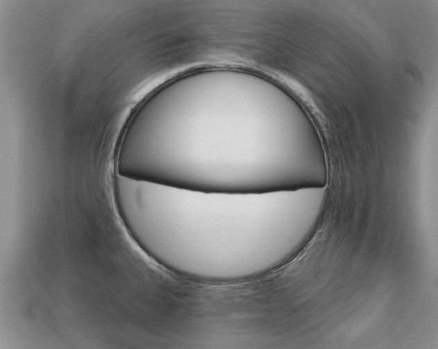 X0000113861335200909241018