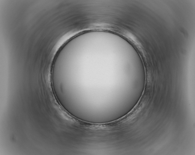 X0000113861336200909241018