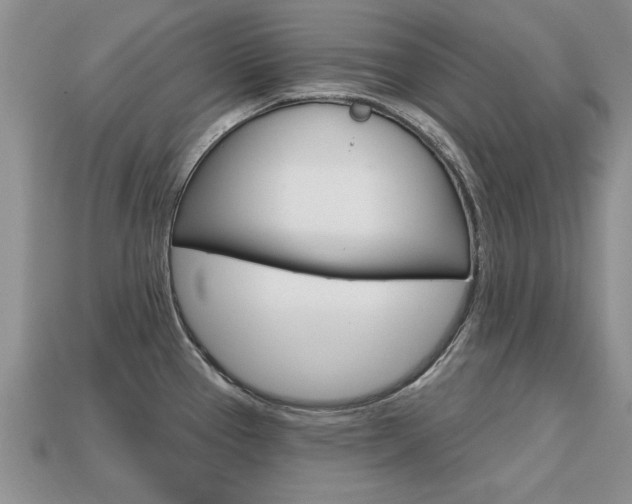 X0000113861337200909241018