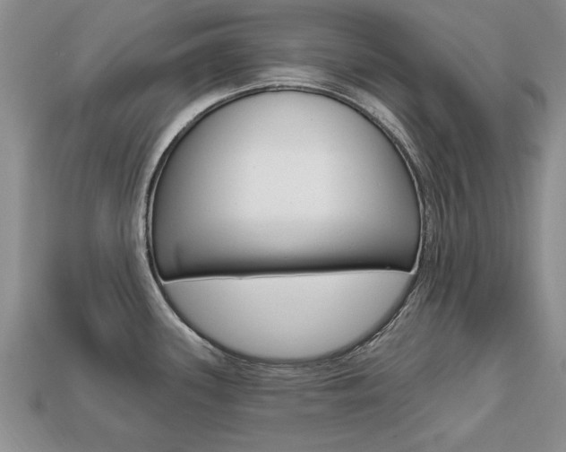 X0000113861339200909241018