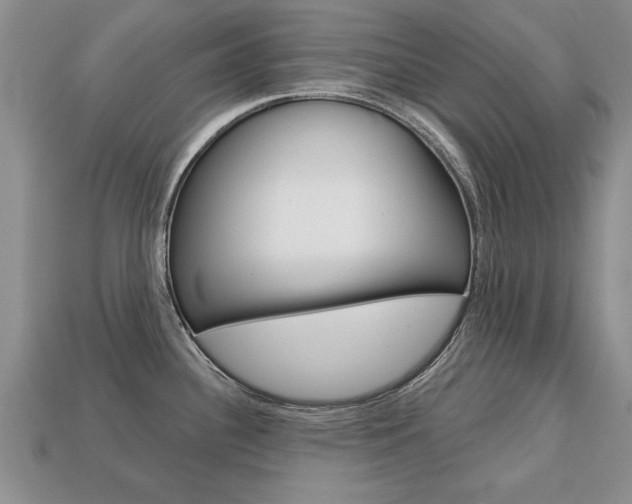 X0000113861340200909241018