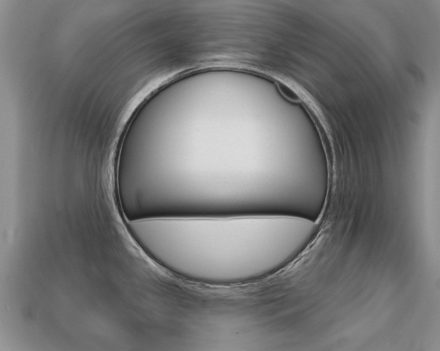 X0000113861341200909241018
