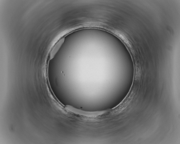 X0000113861342200909241018