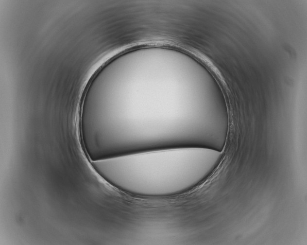 X0000113861343200909241018
