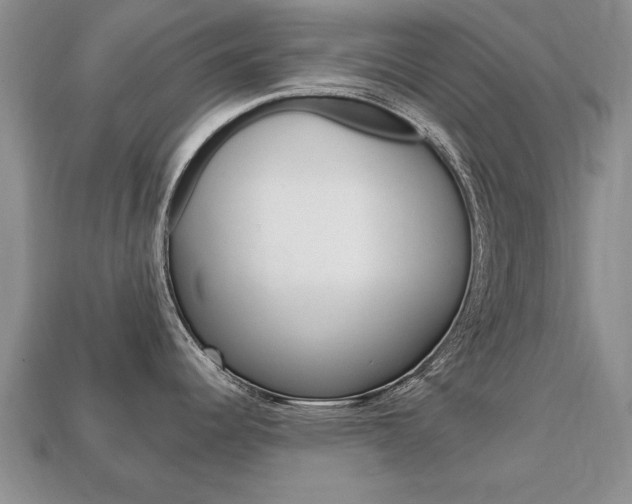 X0000113861344200909241018