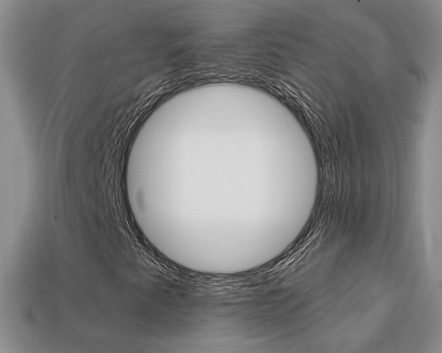 X0000113861345200909241017