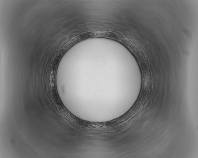 X0000113861346200909241017